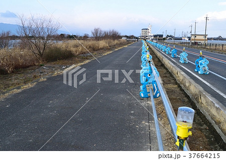 道路工事 37664215