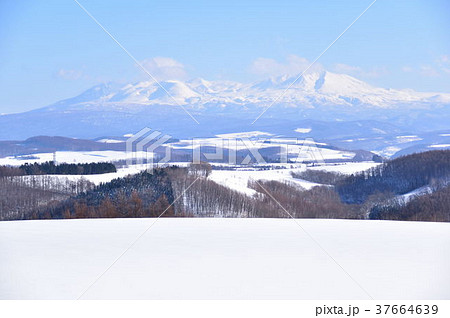 五稜の丘より大雪山系遠景 37664639