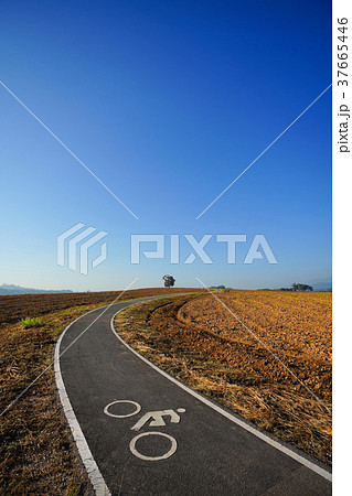 Bicycle lane, Bike lane in Chiang Rai, Thailand Bicycle lane, Bike lane in Chiang Rai, Thailand 37665446