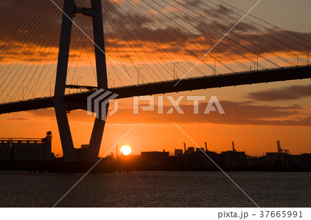 元日のご来光 37665991