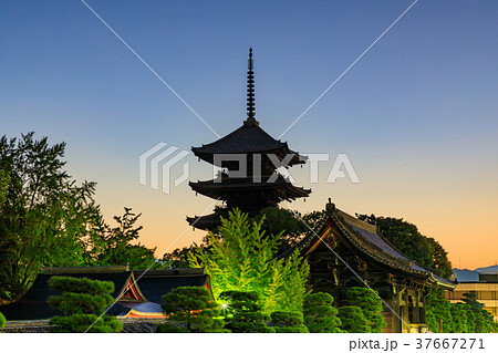 京都　東寺 五重塔 37667271