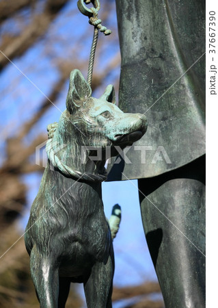 上野にある西郷隆盛像と愛犬ツンの写真素材