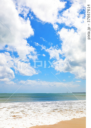 バリ島ジンバランビーチ 37667614