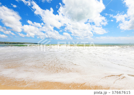 バリ島ジンバランビーチ バリ島ジンバランビーチ 37667615