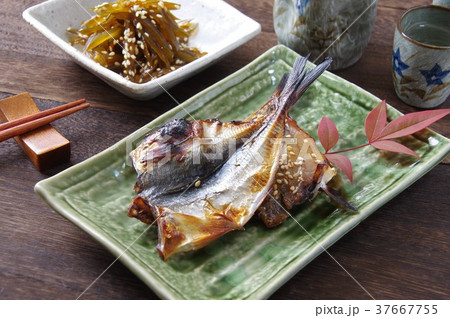 アジの干物 焼き魚の写真素材