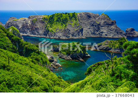 ヒリゾ浜 37668043