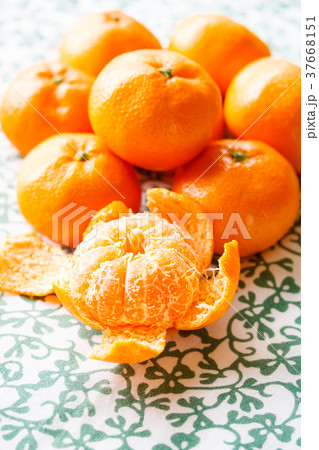 みかん 37668151