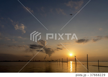 千葉県 江川海岸の夕暮れ 千葉県 江川海岸の夕暮れ 37668229