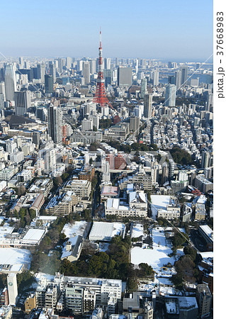 日本の東京都市風景「東京タワーなどを望む」＝大雪の一夜明けで広がる青空・2018年1月23日撮影 37668983