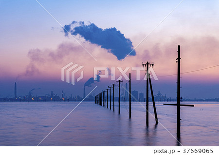 千葉県 江川海岸の夕暮れ 千葉県 江川海岸の夕暮れ 37669065