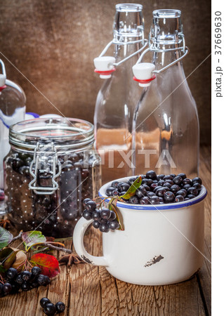 Fruits of black chokeberry prepared for processing 37669630