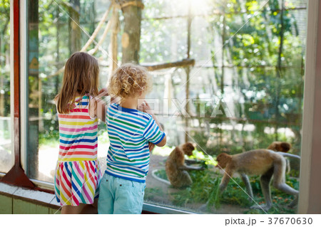Boy and girl with monkey at zoo. Kids and animals. 37670630