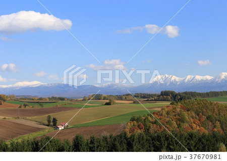 北海道 美瑛 丘の風景 北海道 美瑛 丘の風景 37670981