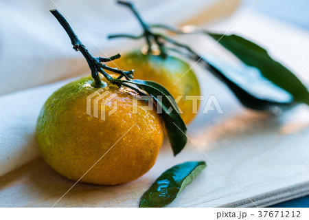 Close up two fresh tangerines with leaves on white 37671212