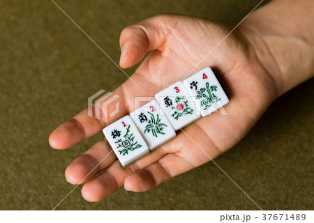 植物 工場 プランツ 37671489