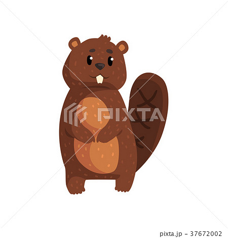 Cute Brown Beaver Standing Isolated On Whiteのイラスト素材
