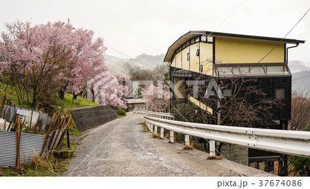Rural road with small house in spring Rural road with small house in spring 37674086