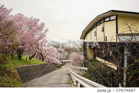 Rural road with small house in spring Rural road with small house in spring 37674087