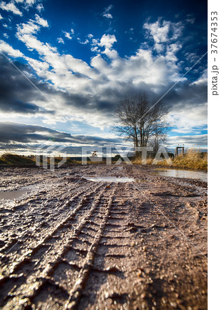 Detail of dirty road with many puddles Detail of dirty road with many puddles 37674353