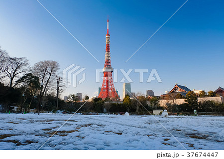 雪の芝公園と東京タワー 雪の芝公園と東京タワー 37674447