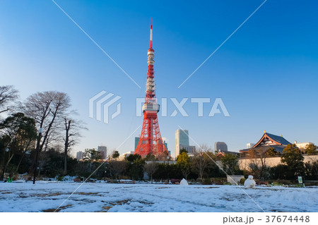 雪の芝公園と東京タワー 雪の芝公園と東京タワー 37674448