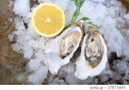 France oysters open and set with ice and lemon 37675845