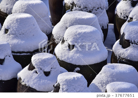 かめ つぼ 雪景色 37677651