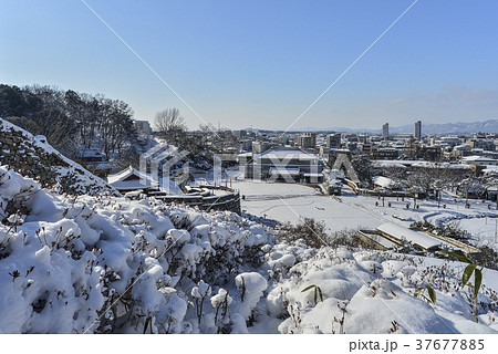 韓国 冬 屋外 37677885