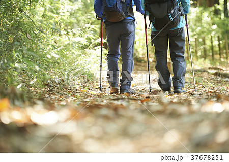 山歩き 37678251