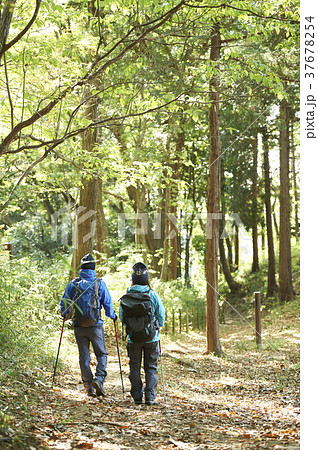 山歩き 山歩き 37678254