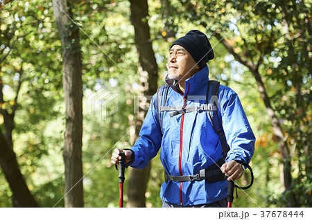 山歩き 山歩き 37678444