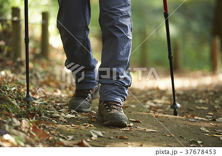 山歩き 37678453