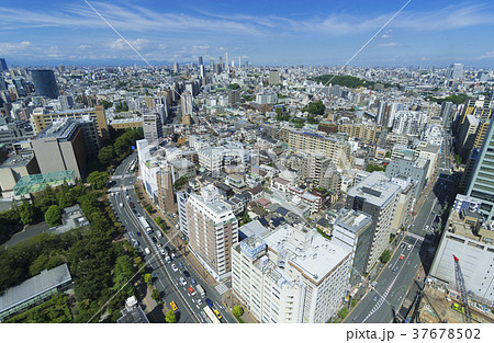 東京風景　俯瞰　ワイド　池袋方面　青空と緑 37678502