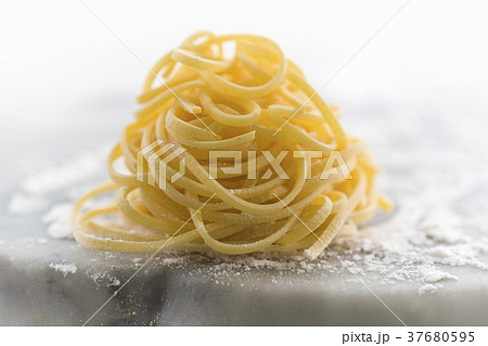 37680595