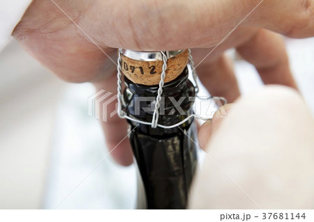 37681144