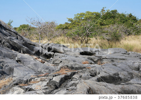 Natural rock at the area of the hill. 37685838