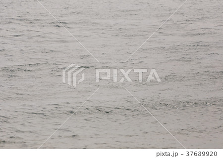 Top of the water. 37689920