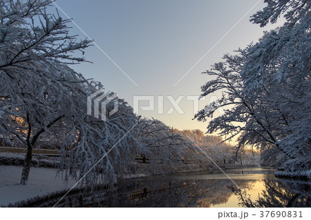 雪景色の朝の花島公園 雪景色の朝の花島公園 37690831