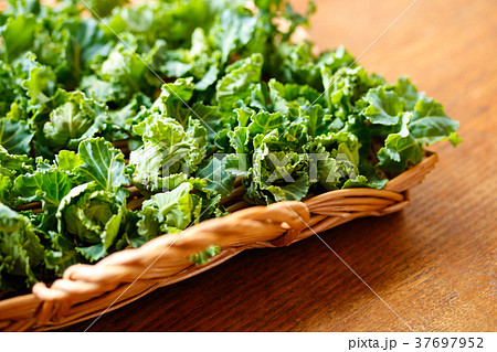 プチヴェール 37697952