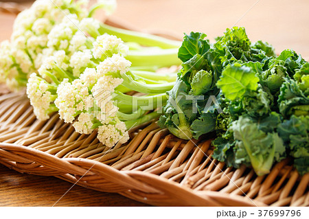 プチヴェールとカリフローレ プチヴェールとカリフローレ 37699796