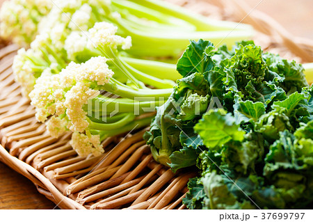 プチヴェールとカリフローレ プチヴェールとカリフローレ 37699797