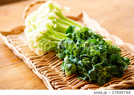 プチヴェールとカリフローレ 37699798