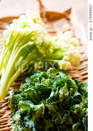 プチヴェールとカリフローレ 37699802