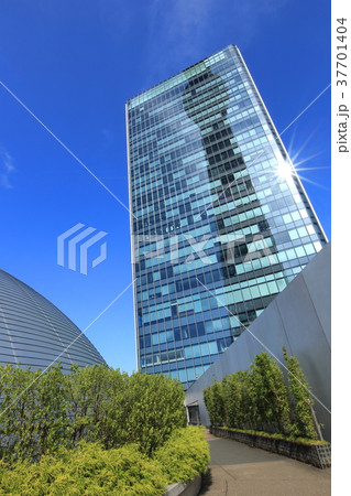 東京スカイツリー　ドームガーデンから見る映り込み 37701404