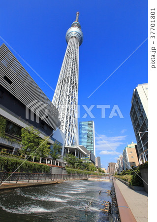 東京スカイツリーと北十間川の噴水の写真素材