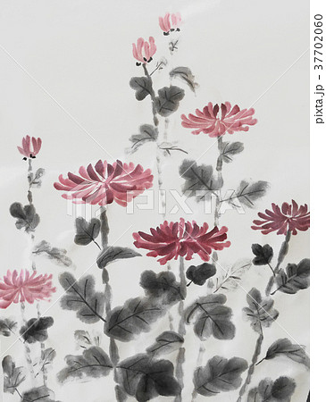 水墨画 菊のイラスト素材 [37702060] - PIXTA