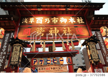 浅草 鷲(おおとり)神社の酉の市 浅草 鷲(おおとり)神社の酉の市 37702086