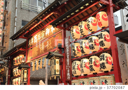 浅草 鷲(おおとり)神社の酉の市 浅草 鷲(おおとり)神社の酉の市 37702087