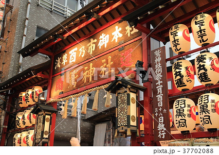 浅草　鷲（おおとり）神社の酉の市　 37702088