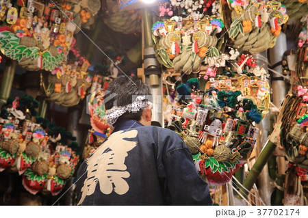 浅草 鷲(おおとり)神社の酉の市 浅草 鷲(おおとり)神社の酉の市 37702174
